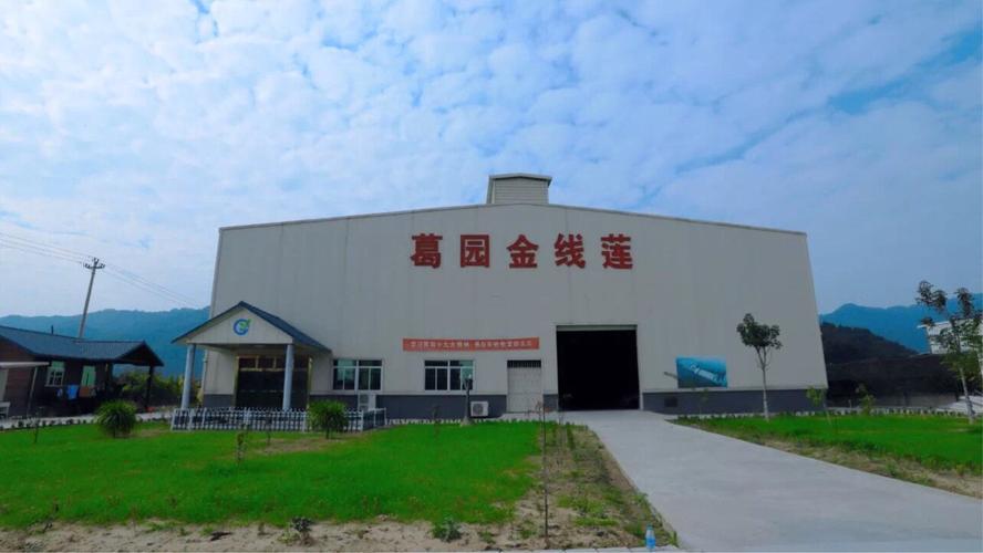 在技术理性中寻回“我” 从南靖兰到葛耀泽科技的思辨之旅